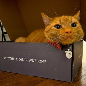 Meet your Posher, Christie